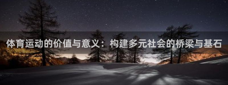 xc体育：体育运动的价值与意义：构建多元社会的桥梁与基石