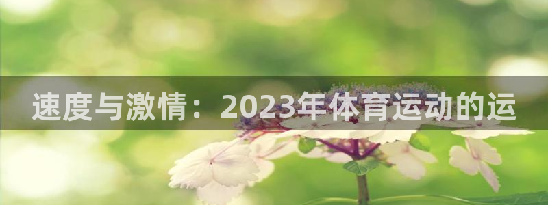 xc体育app官方网站：速度与激情：2023年体育运动的运