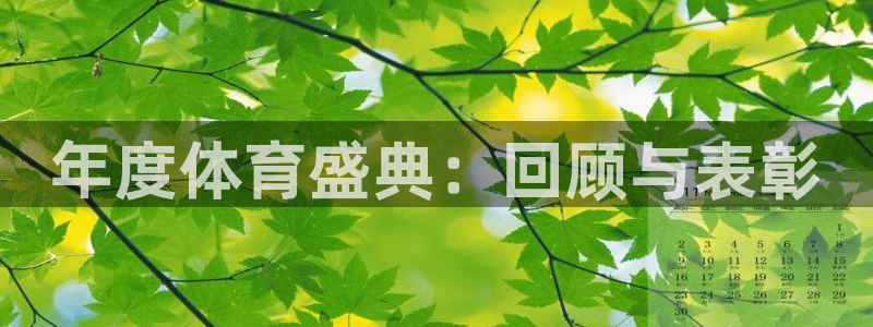 xc体育：年度体育盛典：回顾与表彰