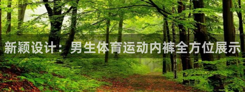 xc体育：新颖设计：男生体育运动内裤全方位展示