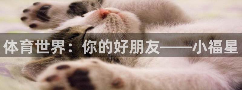 xc体育app官方网站：体育世界：你的好朋友——小福星