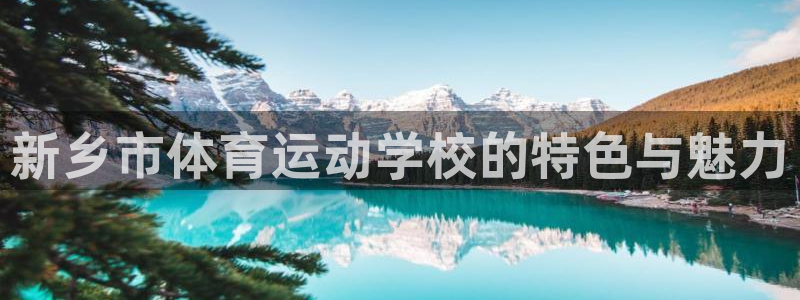 xc体育app官方网站：新乡市体育运动学校的特色与魅力