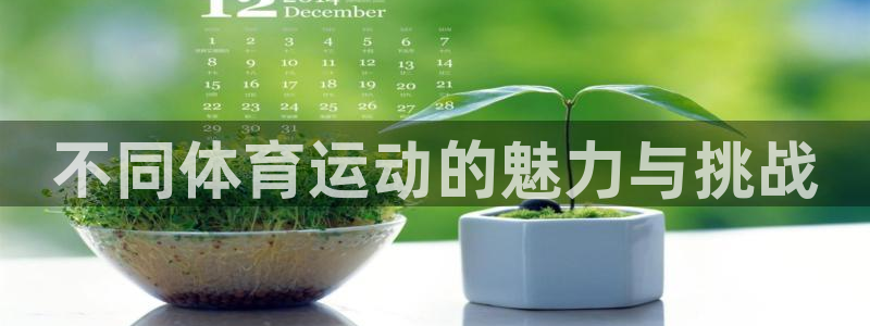 xc体育app官方网站：不同体育运动的魅力与挑战