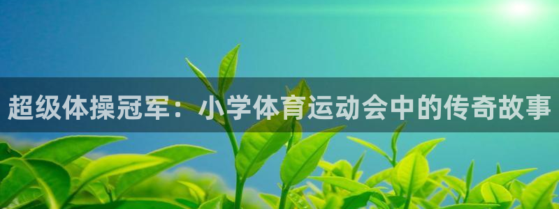 xc体育app官方网站：超级体操冠军：小学体育运动会中的传奇故事